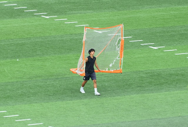 本文将分析